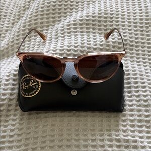 Ray-Ban Women's Pink Transparent Frame Sunglasses - Erika